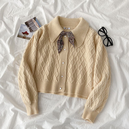 Loose All-Match Lapel Ladies Sweater Jacket